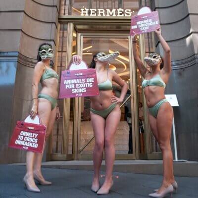 Three PETA protesters outside Hermés