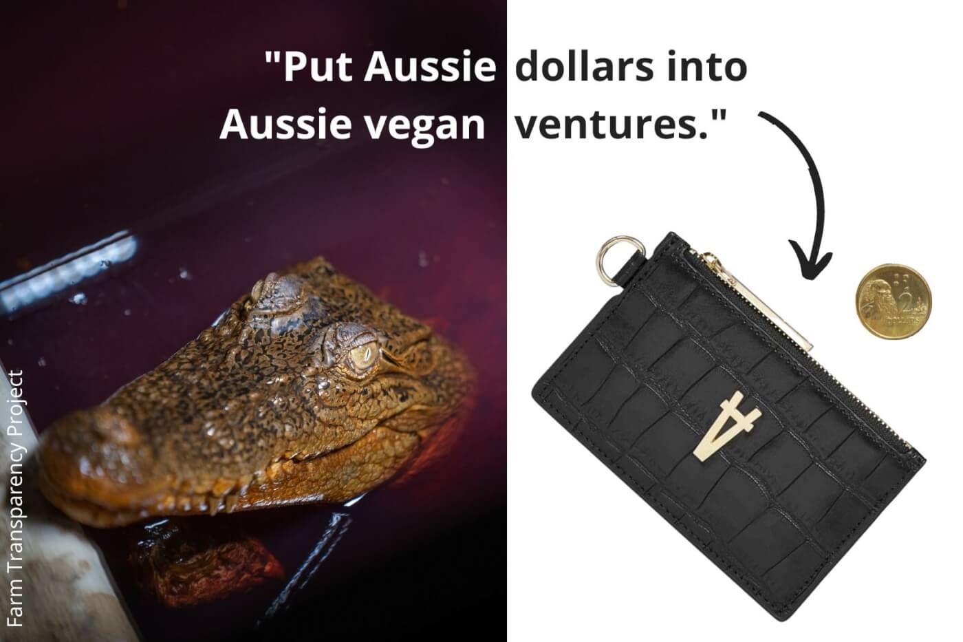 On the left: a crocodile in bloody water on a crocodile farm in Australia. On the right: a Sans Beast vegan crocodile wallet and a gold coin.