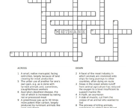 PETA's crossword puzzle