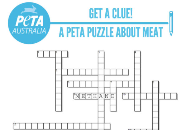 PETA Sends Meat-Themed Crossword to Scott Morrison and Barnaby Joyce