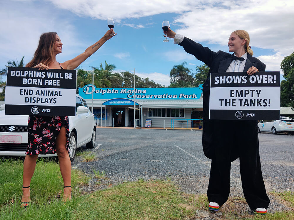 PETA supporters wearing formal clothes and drinking champagne at Dolphin Marine Conservation Park.