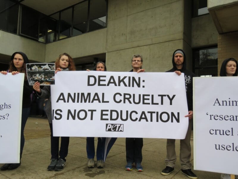 Deakin University Protest PETA