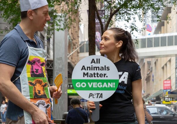 Photo of PETA's Australia Day protest in Sydney.