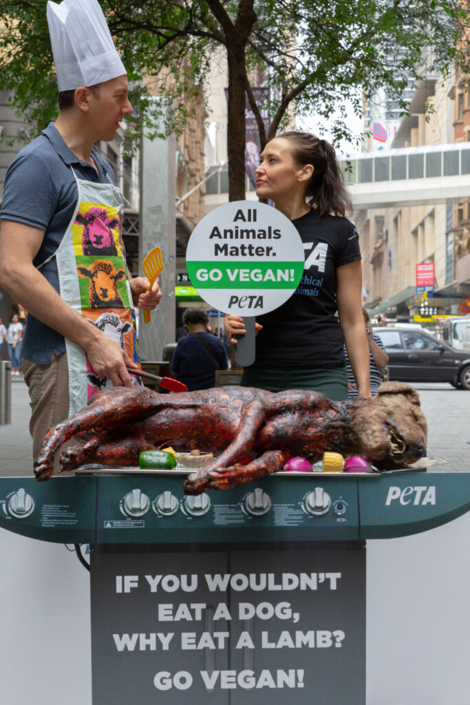 Photo of PETA's Australia Day protest in Sydney.