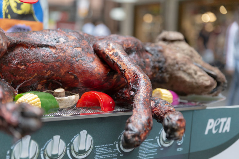 PETA Barbecues a 'Dog' in a Sydney Shopping Mall News PETA Australia