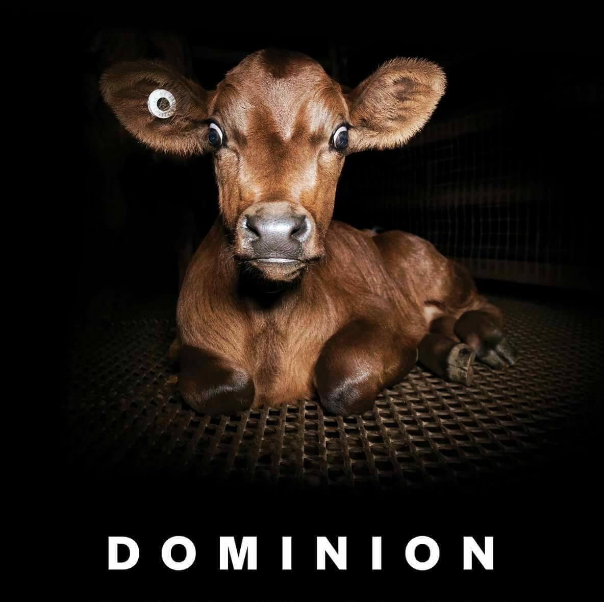 Dominion Documentary
