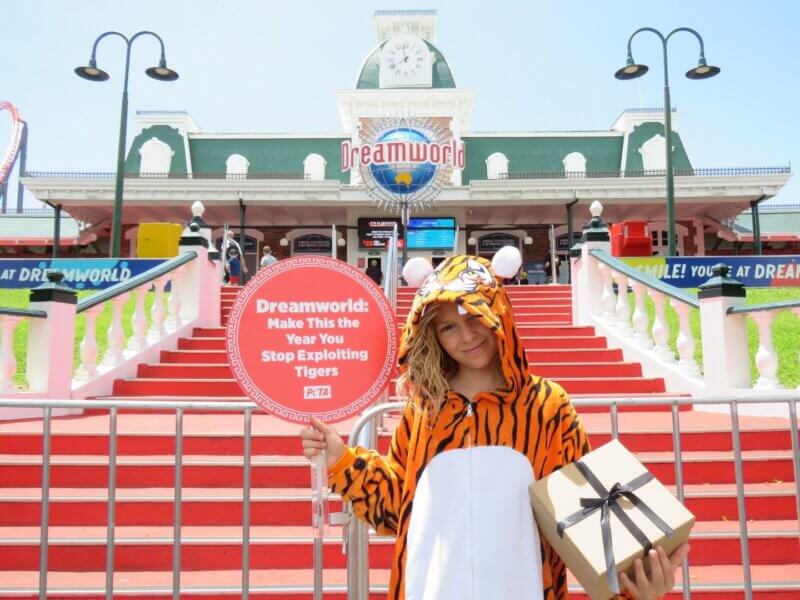 A child dressed in a tiger onesie outside Dreamworld with a sign reading: "Dreamworld: Make This The Year You Stop Exploiting Tigers".