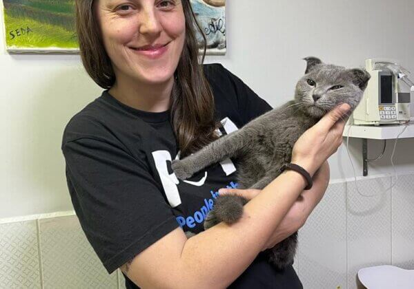 Earthquake Updates: PETA UK’s Rescuing Cats, Dogs, and Birds Trapped After the Earthquake in Turkey