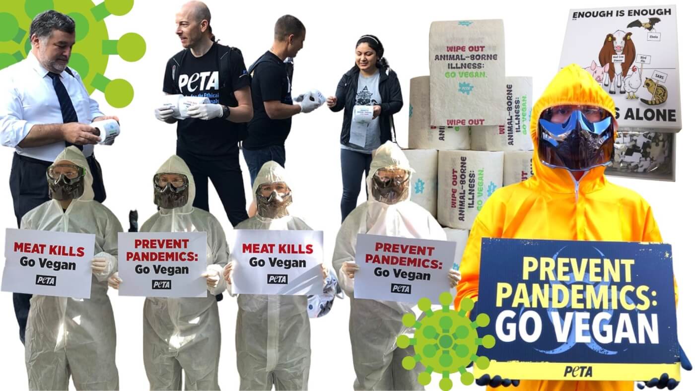 PETA protesters in hazmat suits, PETA's "pandemic" puzzle and highly sought after toilet paper.