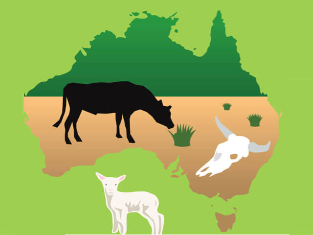 INFOGRAPHIC: Save the Earth: – Go Vegan!