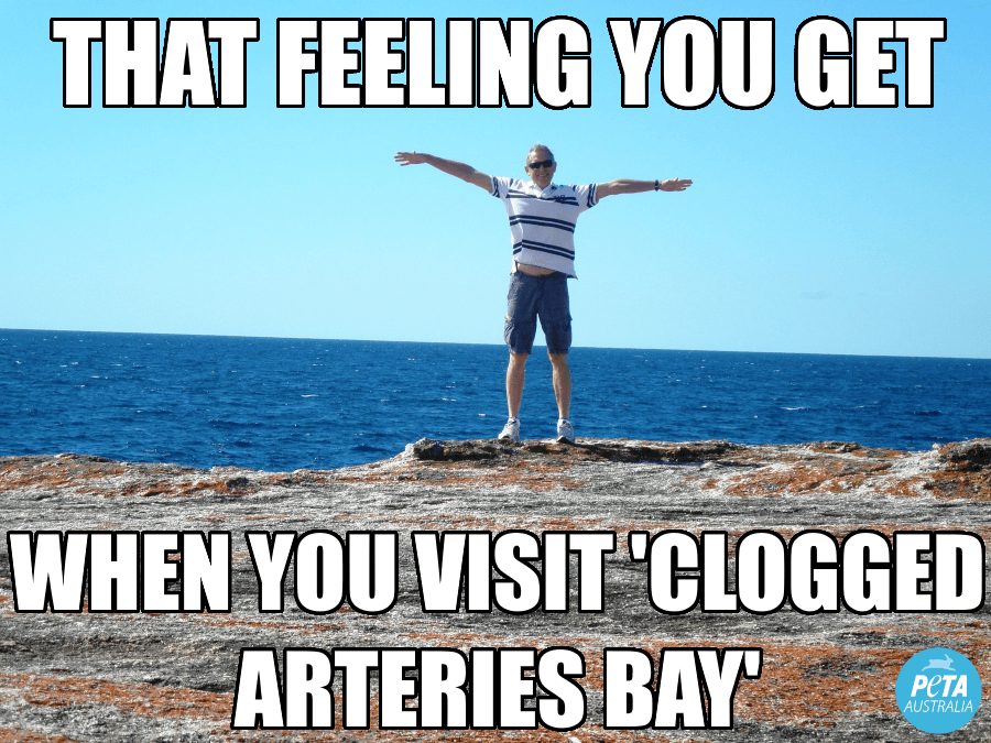 Eggs and Bacon Bay Meme