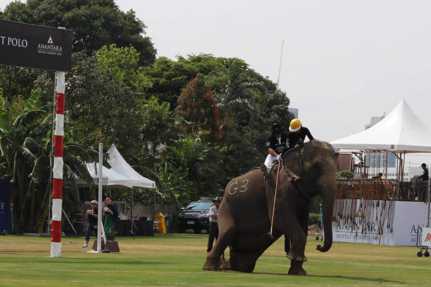 UPDATE: Thailand’s King’s Cup Elephant Polo Tournament Is No More!