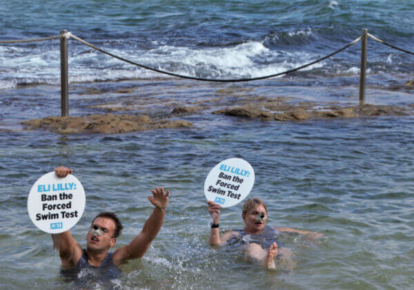 ‘Mice’ Protest Lab Experiments With Bondi Beach Swim