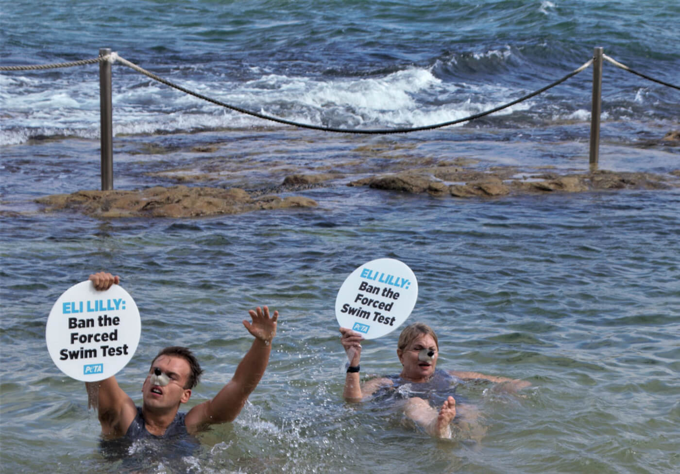 two PETA activists dressed as mice splash about at Bondi Beach