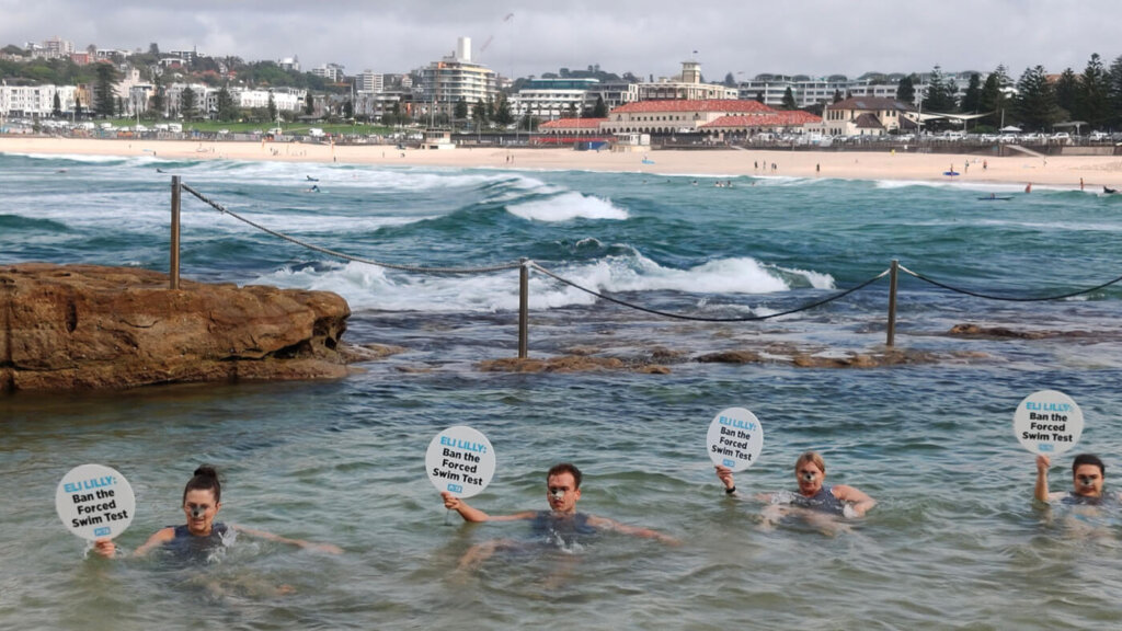four PETA activists dressed as mice splash about at Bondi Beach