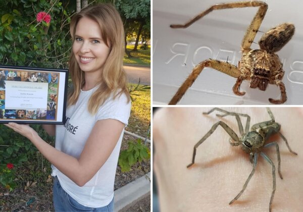 Townsville Woman Nurses Spider to Regrow Her Legs!