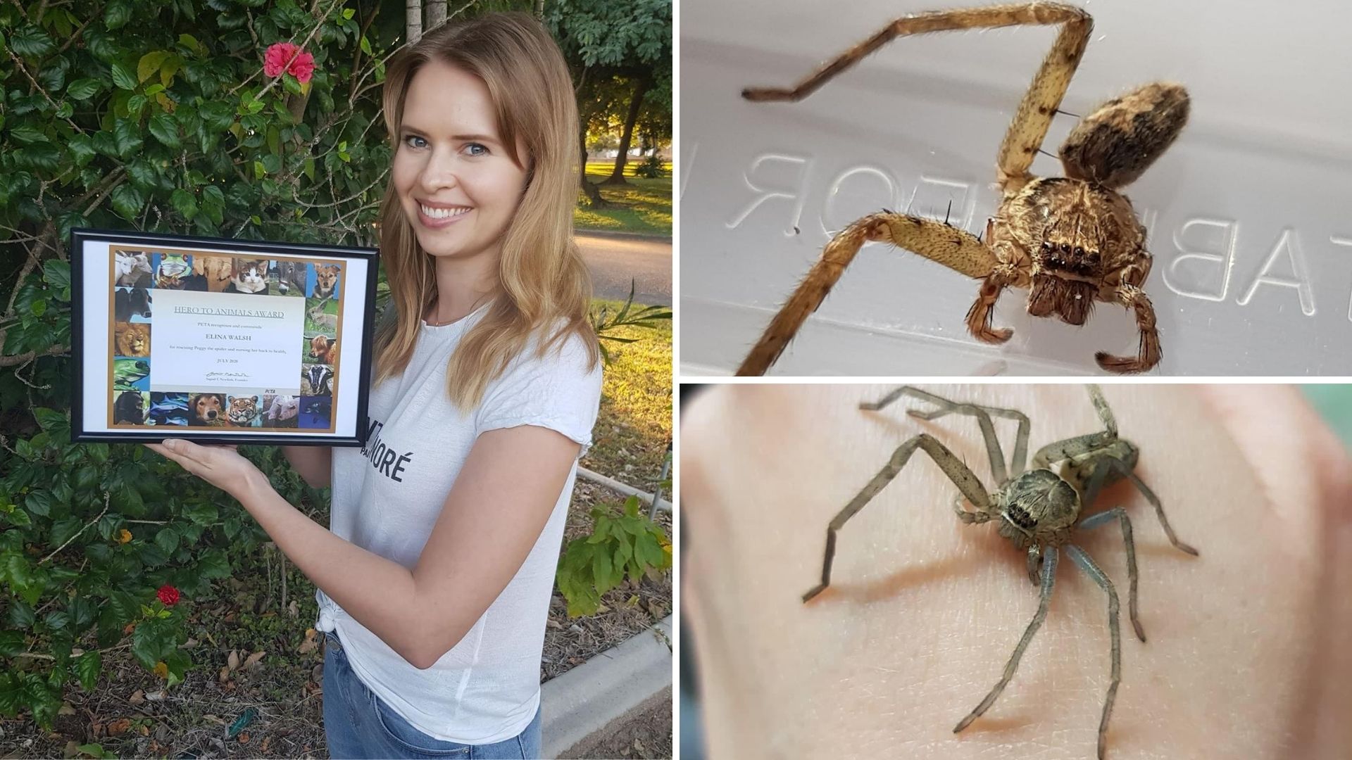 Townsville Woman Nurses Spider to Regrow Her Legs!