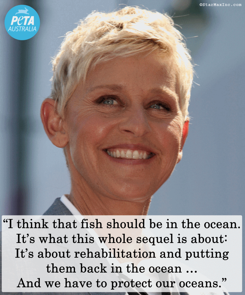 Ellen DeGeneres Finding Dory Quote