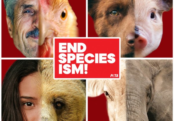 Join Us to #EndSpeciesism