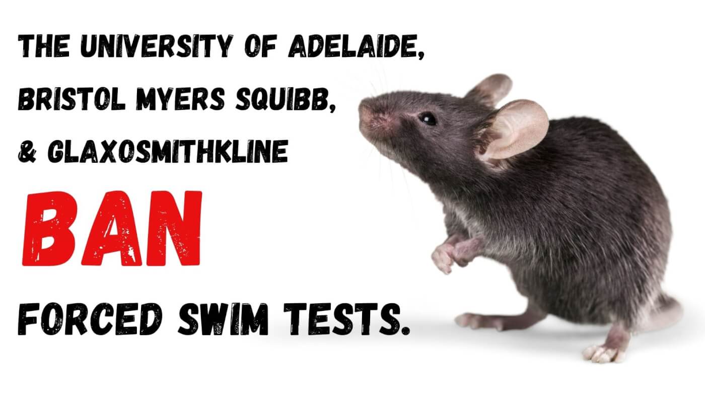 University of Adelaide, Bristol Myers Squibb and GlaxoSmithKline all stop the forced swim test.