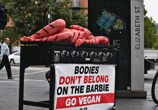 Bodies Don’t Belong on the Australia Day Barbie