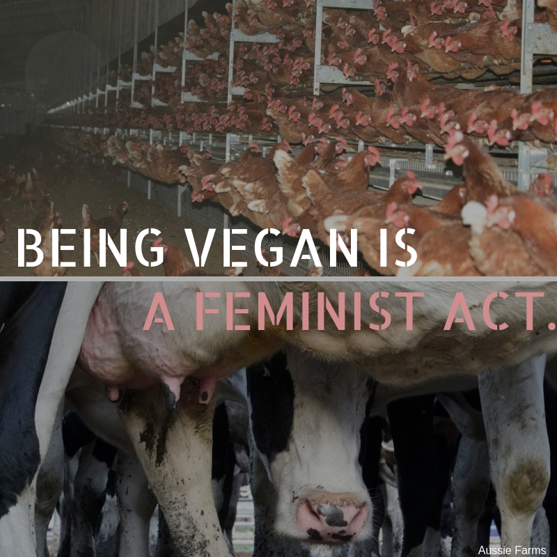 Being vegan is a feminist act. 
