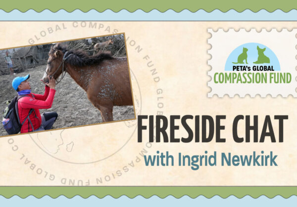 PETA Virtual Event: Global Compassion Fund Fireside Chat With Ingrid Newkirk