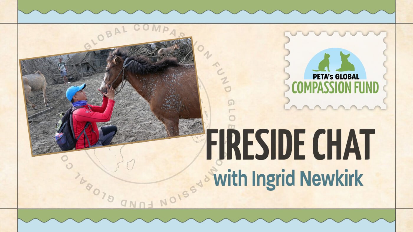 PETA Virtual Event: Global Compassion Fund Fireside Chat With Ingrid Newkirk