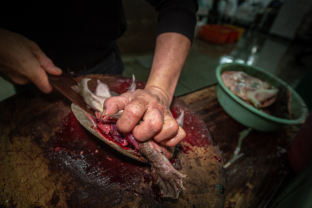 A worker cuts off a shell while turtle is still alive at a market in Taiwan.