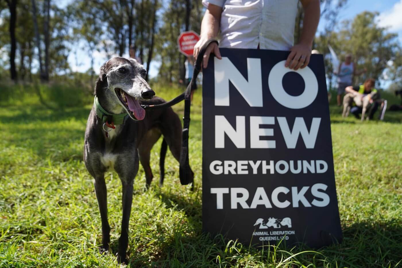 A greyhound and a sign that reads "no new greyhound tracks"
