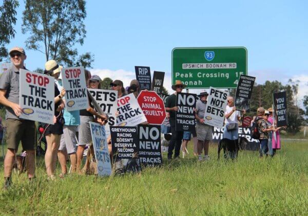 Protesters at the site of a proposed greyhound track