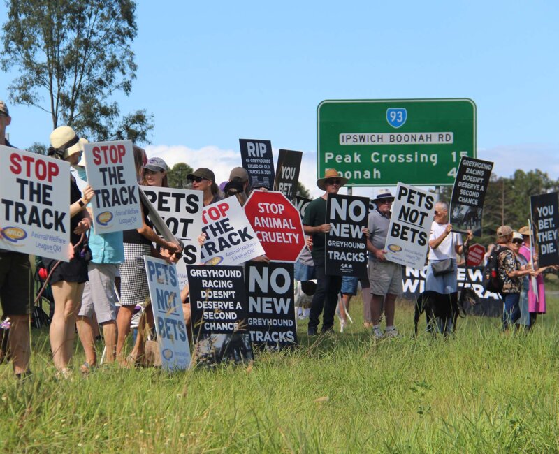 Protesters at the site of a proposed greyhound track