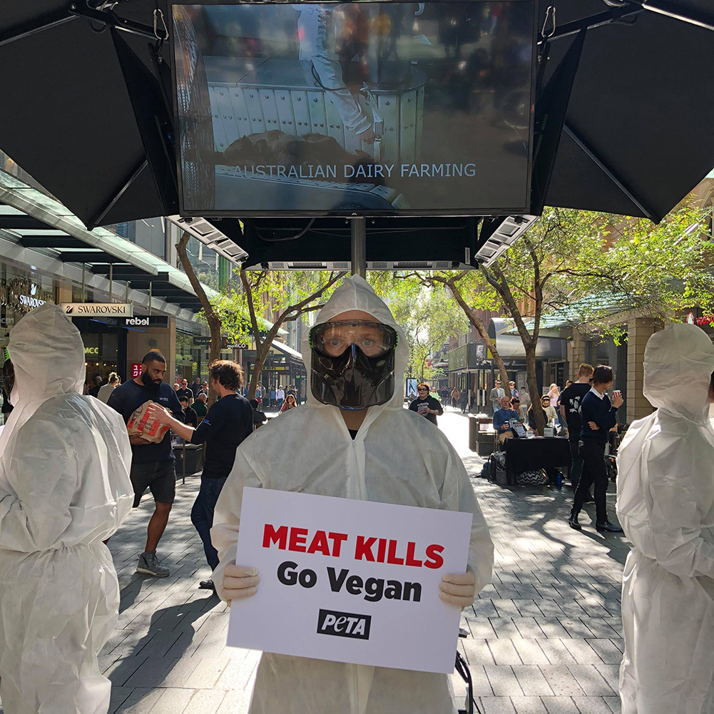 PETA protesters in hazmat suits.