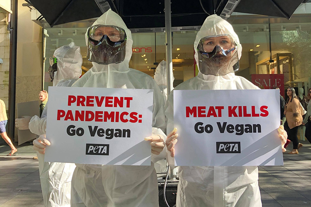 PETA protesters in hazmat suits.