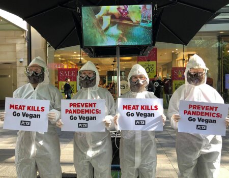 PETA protesters in hazmat suits.