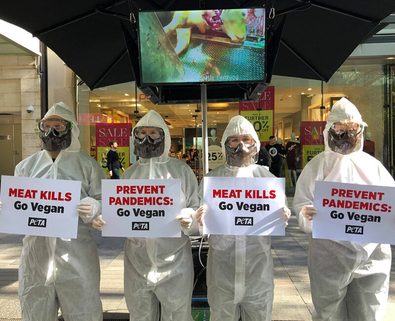 PETA protesters in hazmat suits.