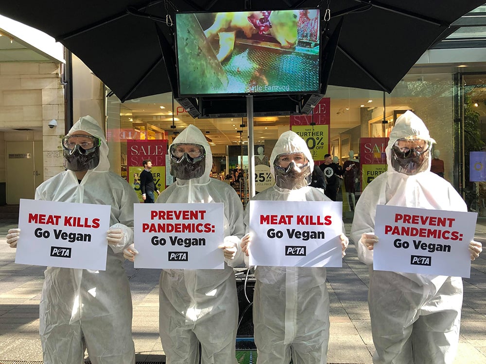 PETA protesters in hazmat suits.