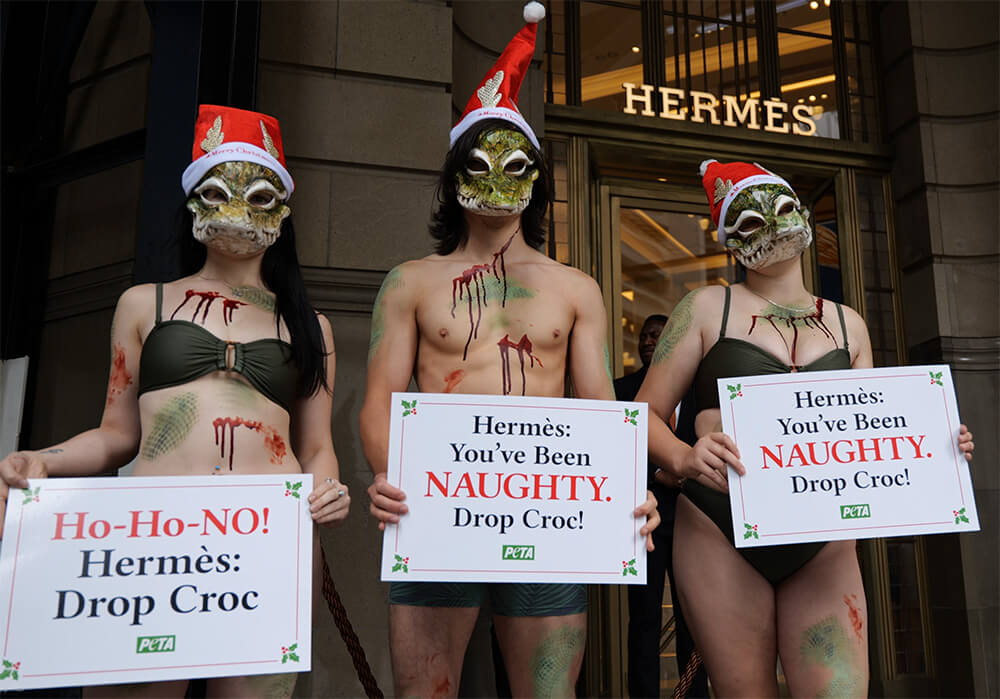 activists in Sydney ask Hermes to drop croc