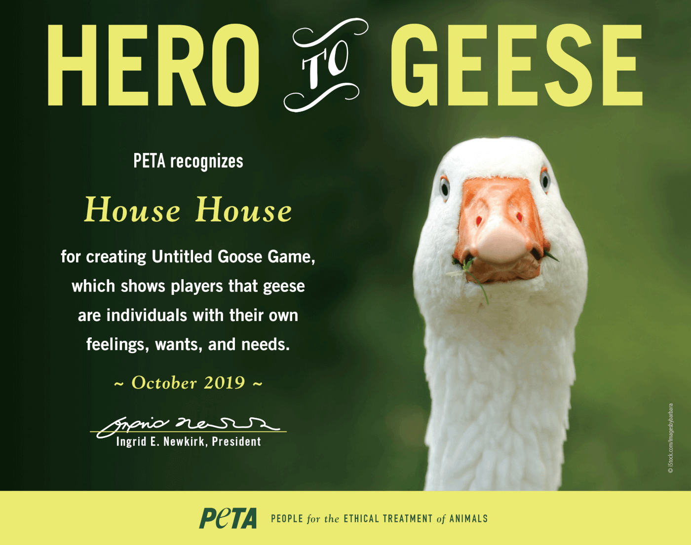 Hero to Geese