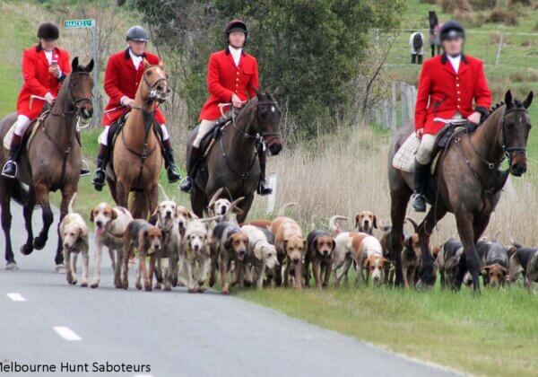 Melbourne Hunt Club Seeks Approval for Breeding and Boarding Development – Object NOW!