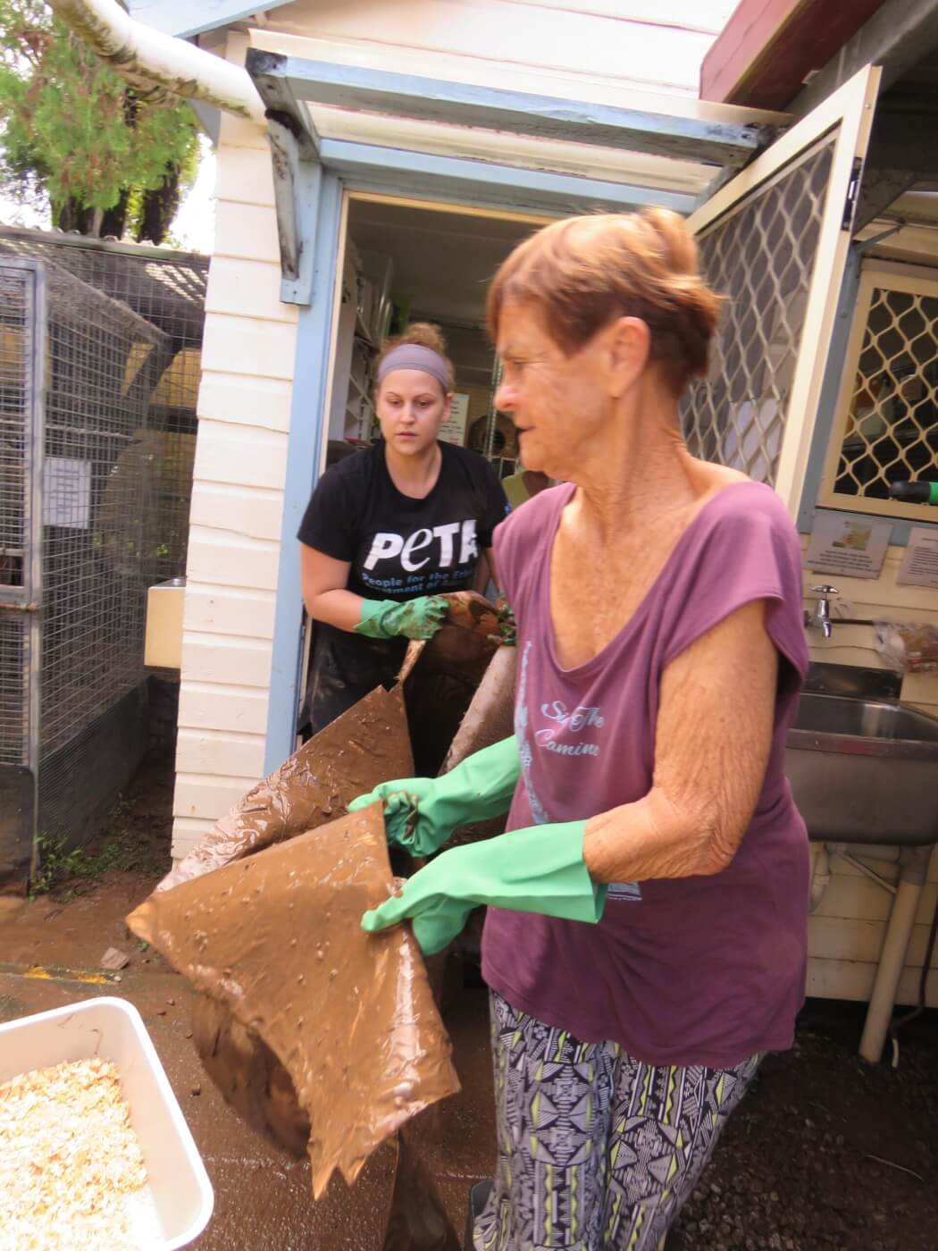 Animal Rescue and Support In Flooded NSW