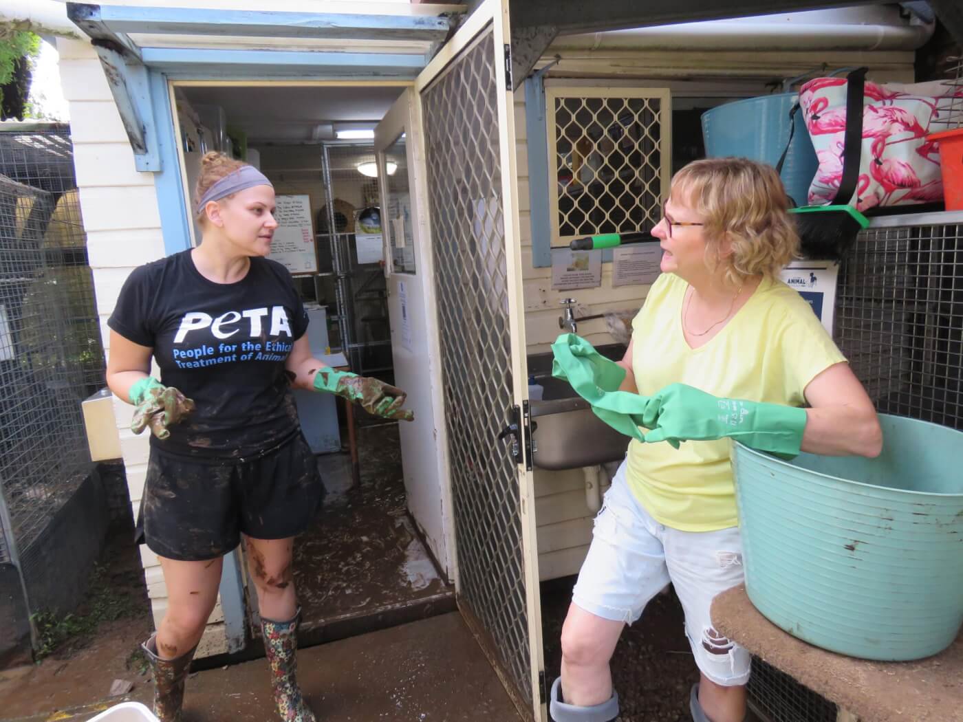 Animal Rescue and Support In Flooded NSW News PETA Australia