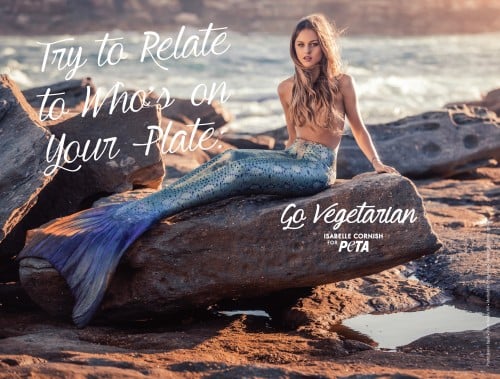 Isabelle Cornish_Try to Relate Ad_FIN300