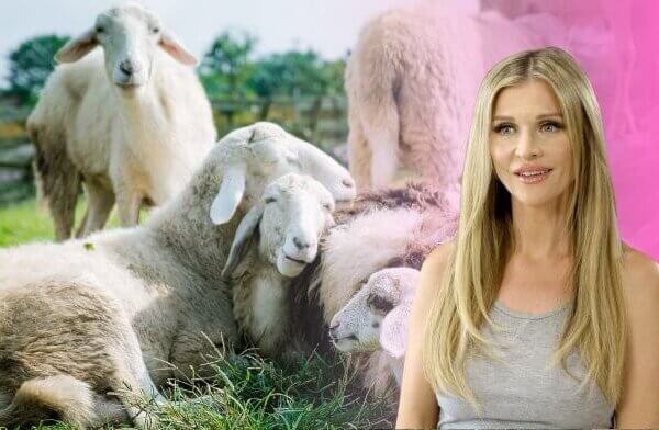 Joanna Krupa Joins PETA US in Unravelling the Truth Behind Wool