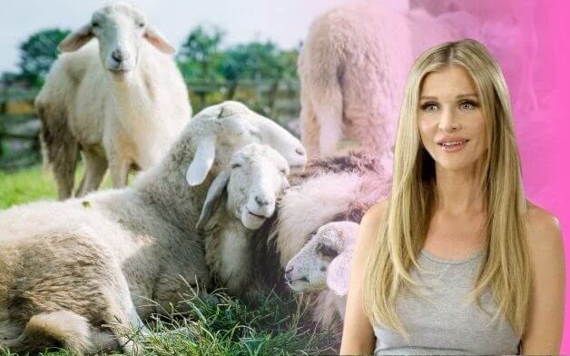 Joanna Krupa Joins PETA US in Unravelling the Truth Behind Wool