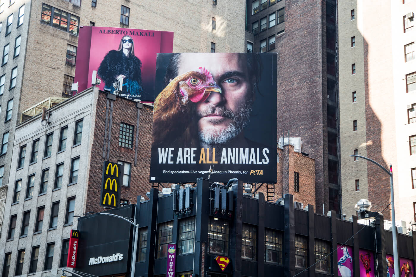 We Are All Animals Billboard