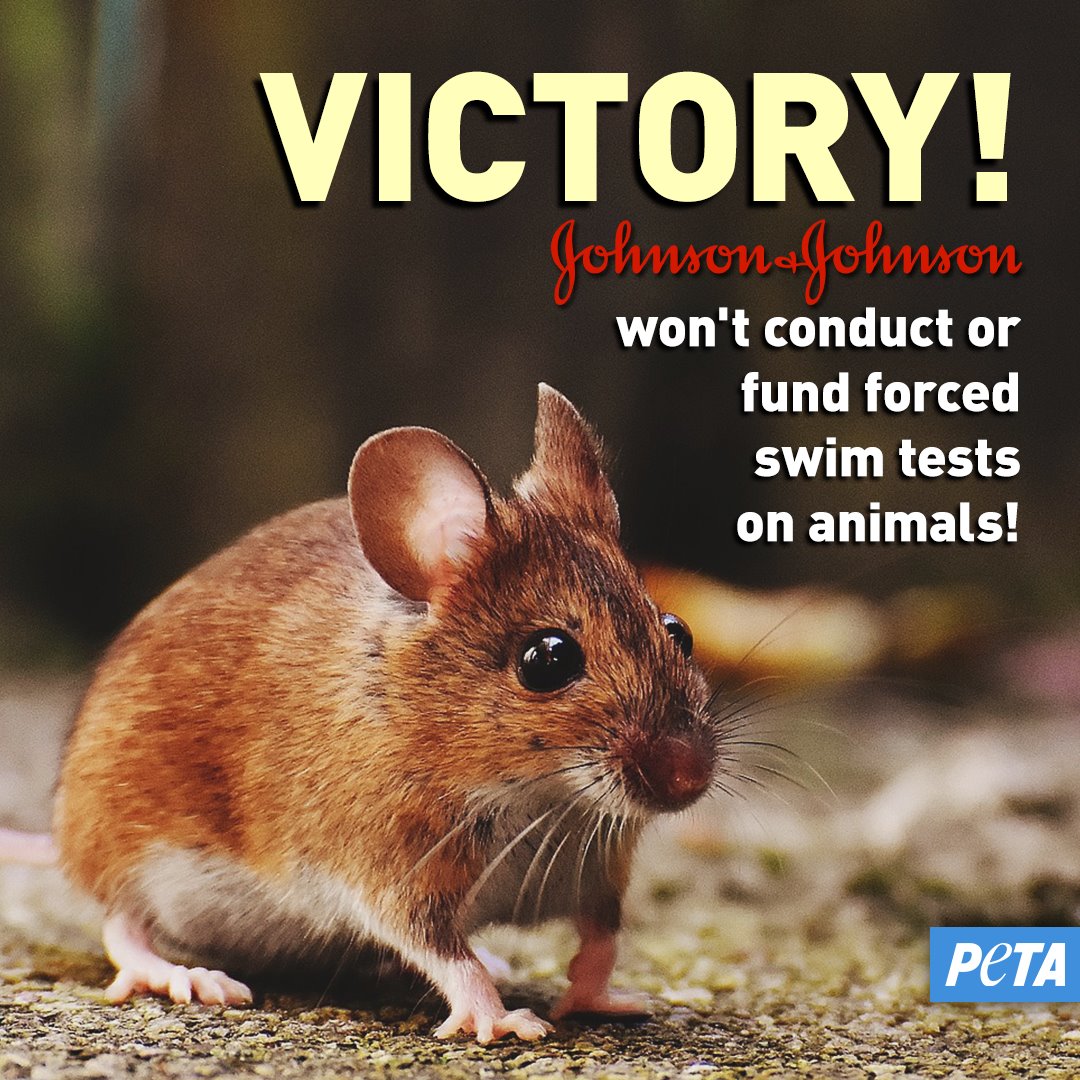 Victory! Johnson & Johnson Bans Near-Drowning Tests on Animals