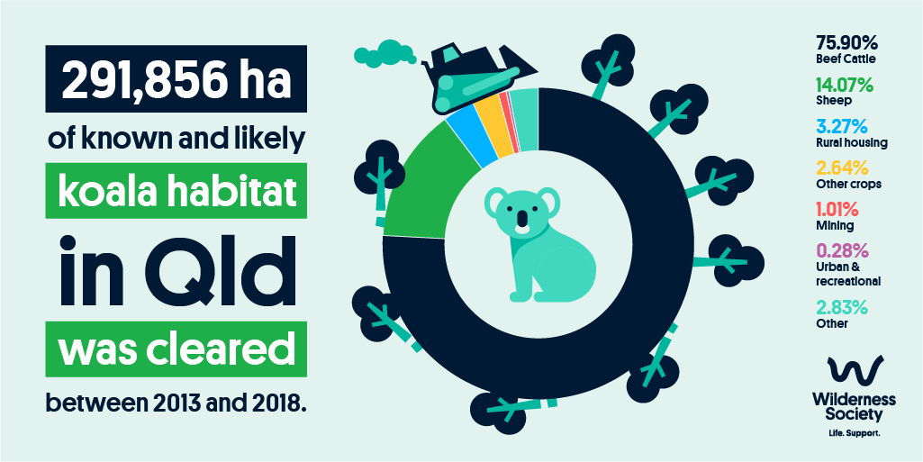 An infographic by the Wilderness Society about land clearing in Queensland.