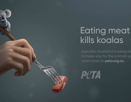 PETA's billboard ad which says "eating meat kills koalas"
