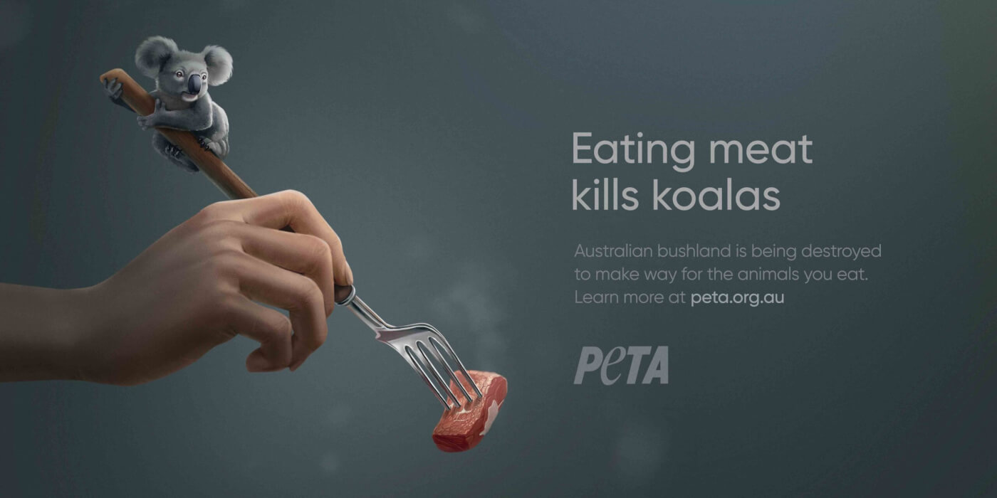 PETA's billboard ad that says "eating meat kills koalas".